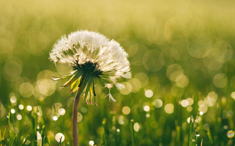 Offentlige udbud stiller krav om grønne standarder
