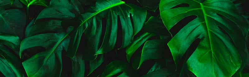 Miljøledelse – ISO 14001 