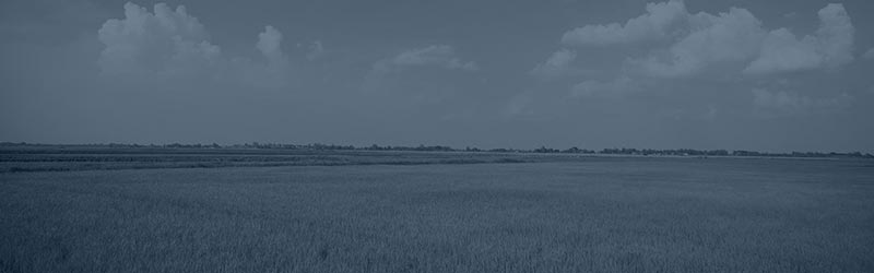 Diplomkursus i miljøledelse