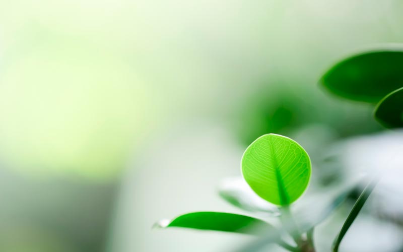 ISO 14001 styrker miljøindsatsen