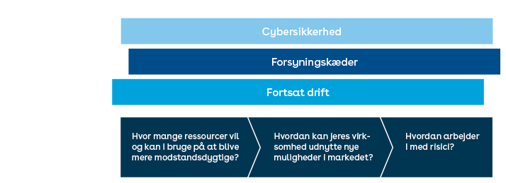 Fundamentet til modstandsdygtighed