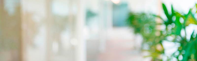 Sustainability Manager 