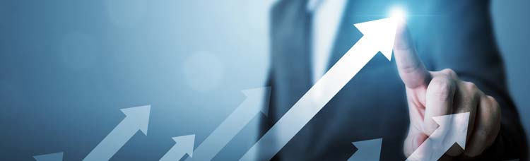 S-1000 Bæredygtighed og forretningsudvikling