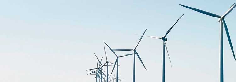 Hvorfor er EU's taksonomi vigtig?