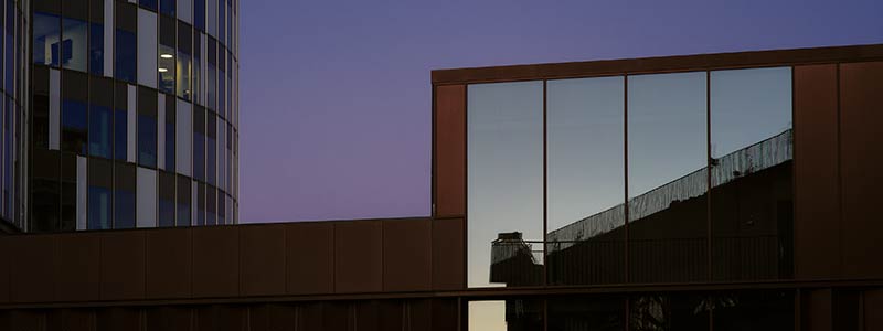 Internationale bestyrelsesposter