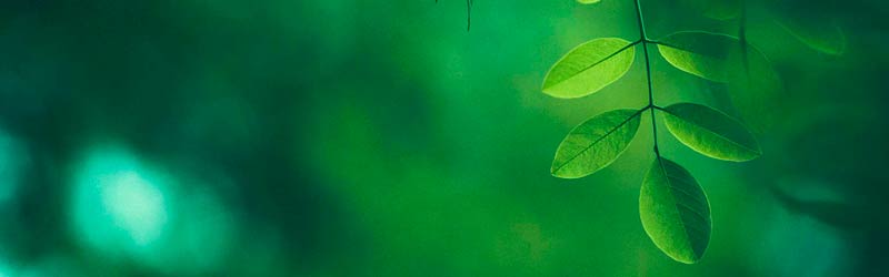 Ecodesign forordningen (ESPR)