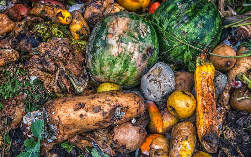 Ny international standard mod madspild kan blive erhvervslivets license to operate