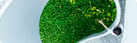 Principperne for social ansvarlighed