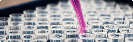 Forbrugersikkerhed og service