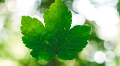 ISO 14001 Miljøledelse