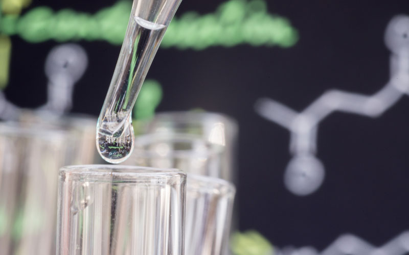 Biosolutions – nye veje til bæredygtige løsninger