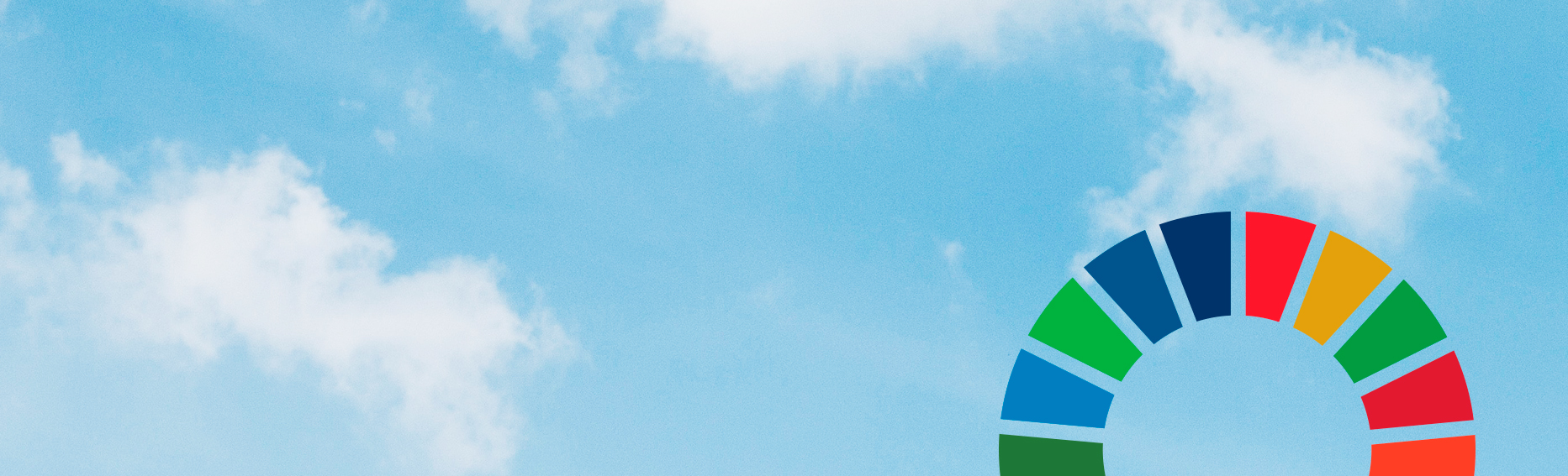 Standarder FNs verdensmål