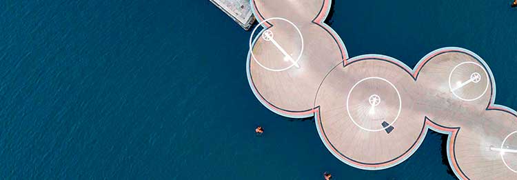 Hvilke begreber i taksonomien er vigtige at kende?