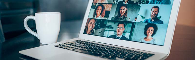 Webinar og temamøder