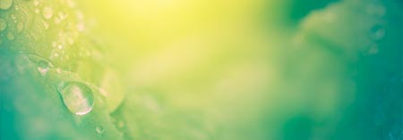 Hjælp til SMV'er og iværksættere