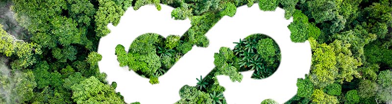 Handlingsplan for den cirkulære økonomi (CEAP)